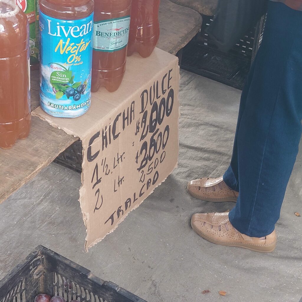 Valdivia: Cultura, História e Arquitetura no Coração Verde do Sul do Chile 20250222 110858