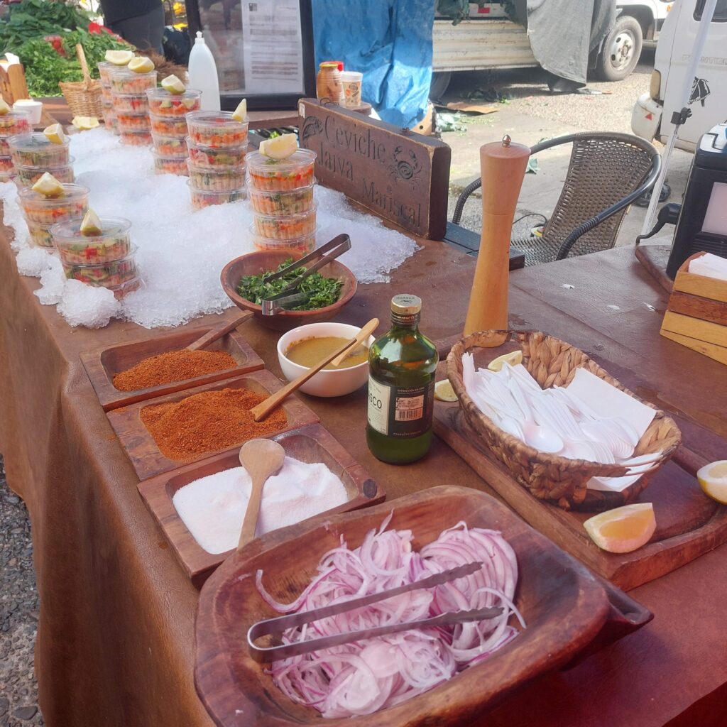 Valdivia: Cultura, História e Arquitetura no Coração Verde do Sul do Chile 20250222 111443