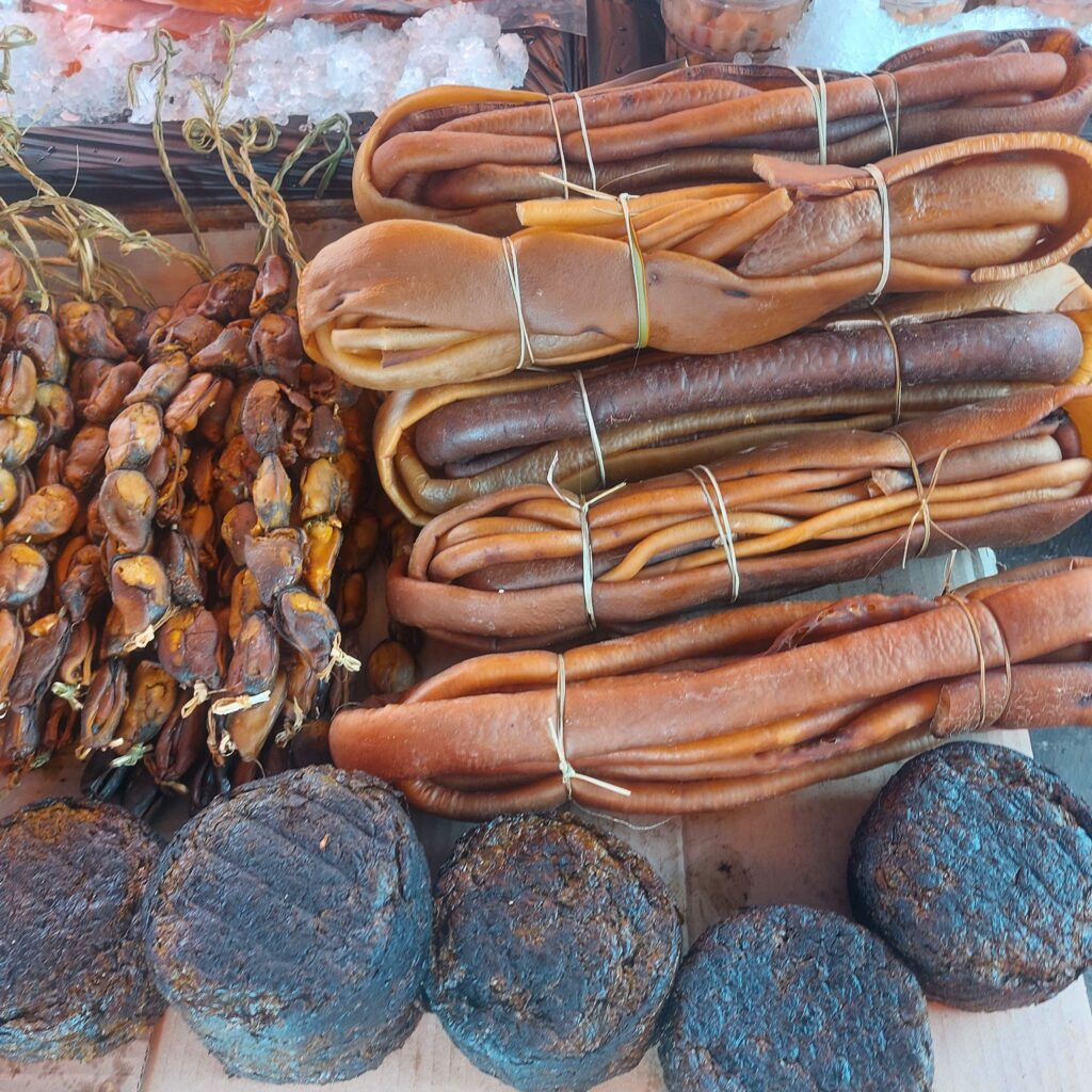 Valdivia: Cultura, História e Arquitetura no Coração Verde do Sul do Chile 20250222 111924