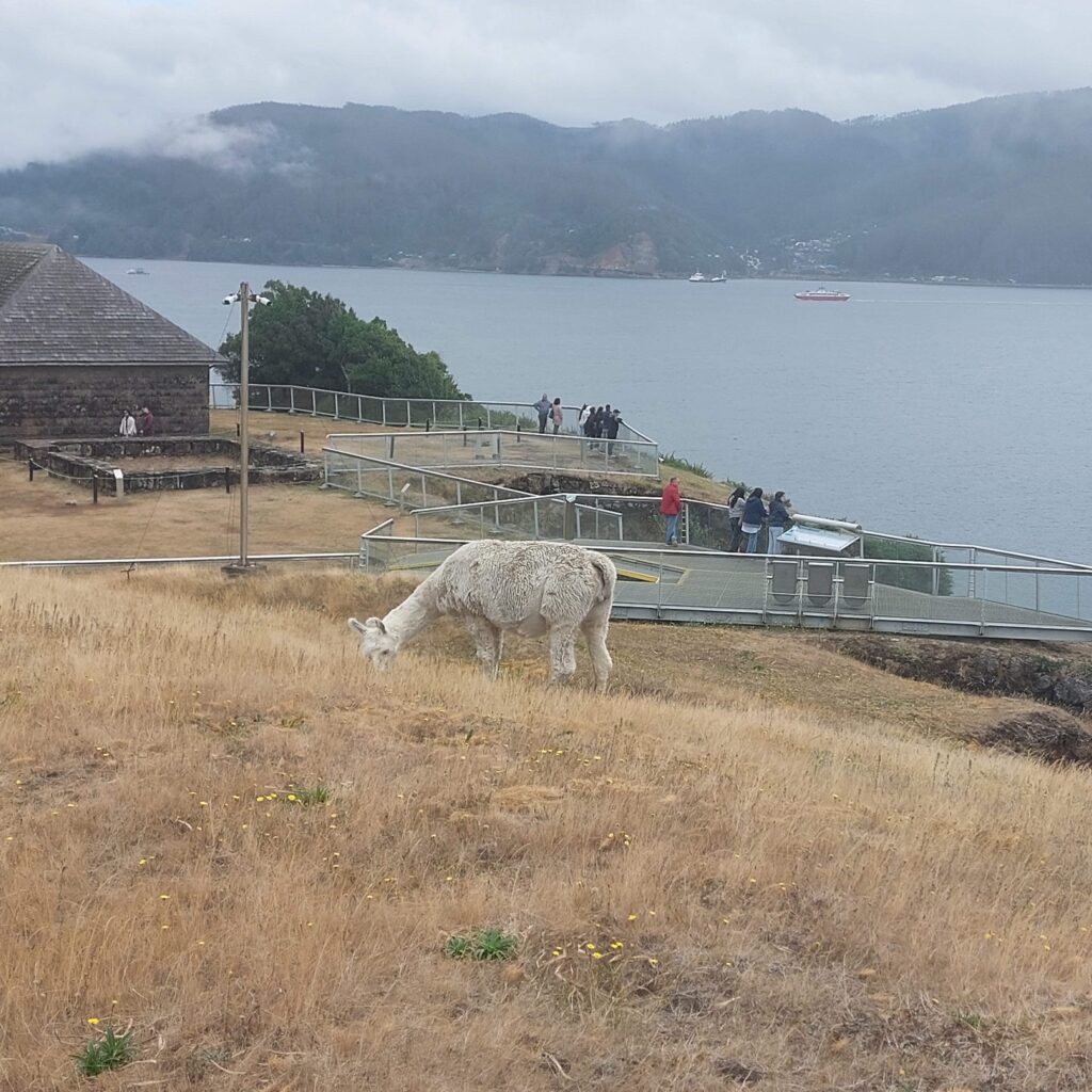 Valdivia: Cultura, História e Arquitetura no Coração Verde do Sul do Chile 20250223 170545