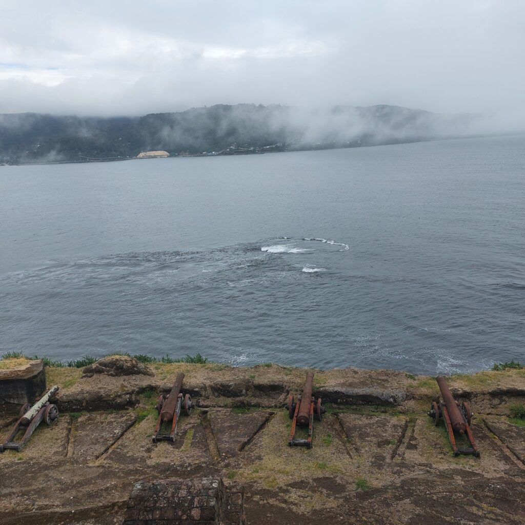 Valdivia: Cultura, História e Arquitetura no Coração Verde do Sul do Chile 20250223 170741