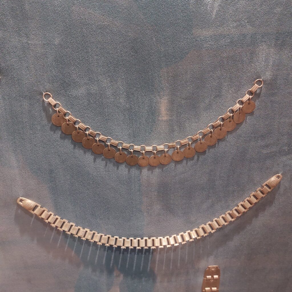 Valdivia: Cultura, História e Arquitetura no Coração Verde do Sul do Chile 20250304 122249