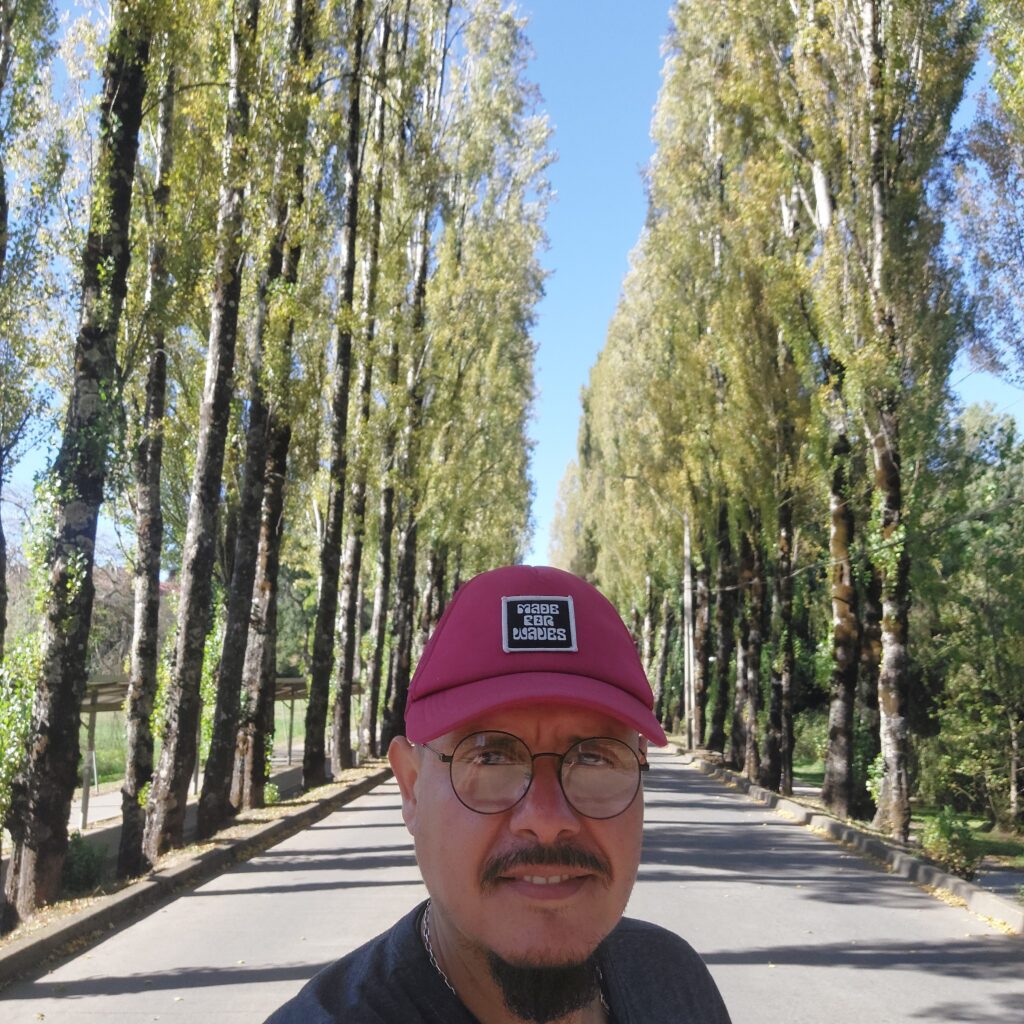 Valdivia: Cultura, História e Arquitetura no Coração Verde do Sul do Chile 20260201 181542